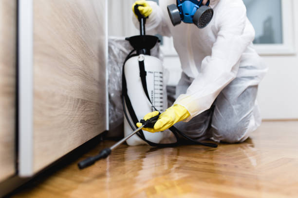 Best Pest Control Near Me in Wadsworth, IL