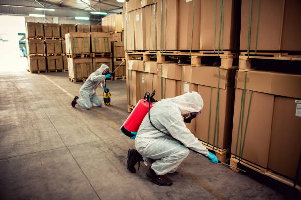 Best Best Pest Control Companies  in Wadsworth, IL