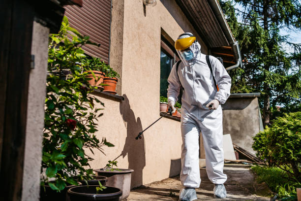Professional Pest Control in Wadsworth, IL