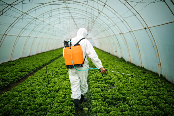 Best Local Pest Control Services  in Wadsworth, IL