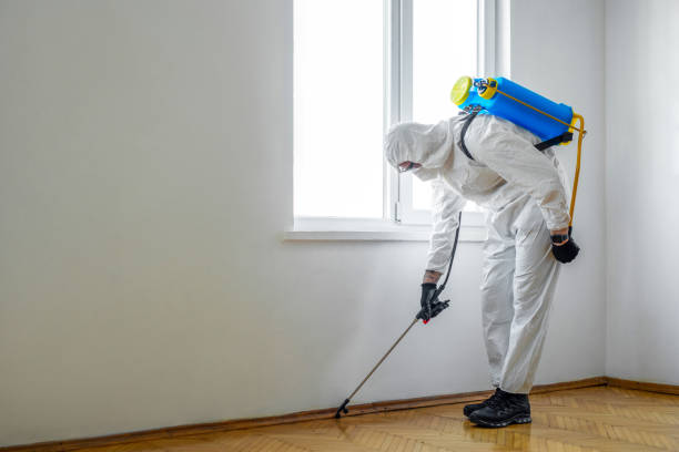 Best Rat Extermination Near Me  in Wadsworth, IL
