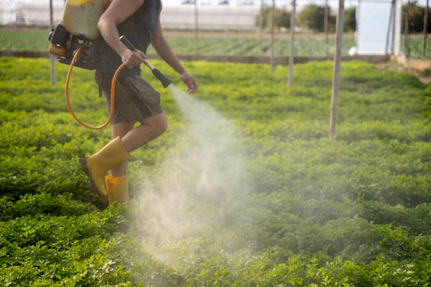 Best Residential Pest Control  in Wadsworth, IL