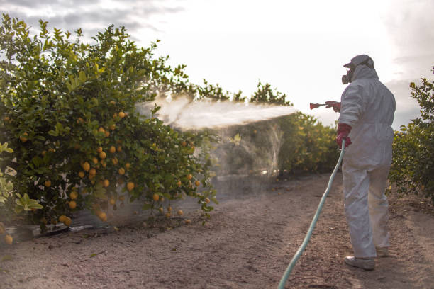 Best Pest Inspection Near Me  in Wadsworth, IL