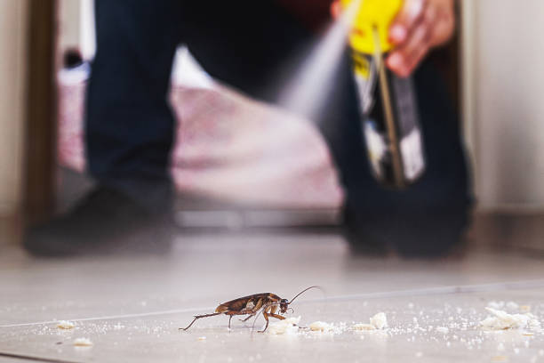Best Cockroach Control Services  in Wadsworth, IL
