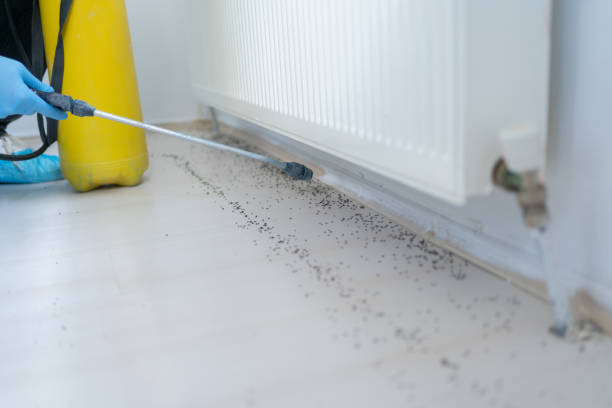 Best Emergency Pest Control  in Wadsworth, IL