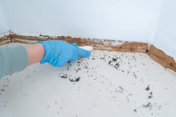 Best Pest Removal Services  in Wadsworth, IL